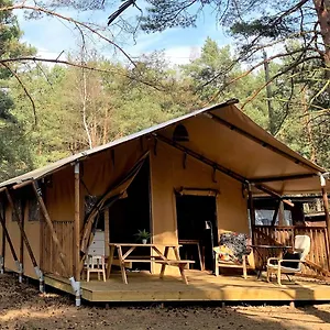 Camp Bursztynowy Gdańsk